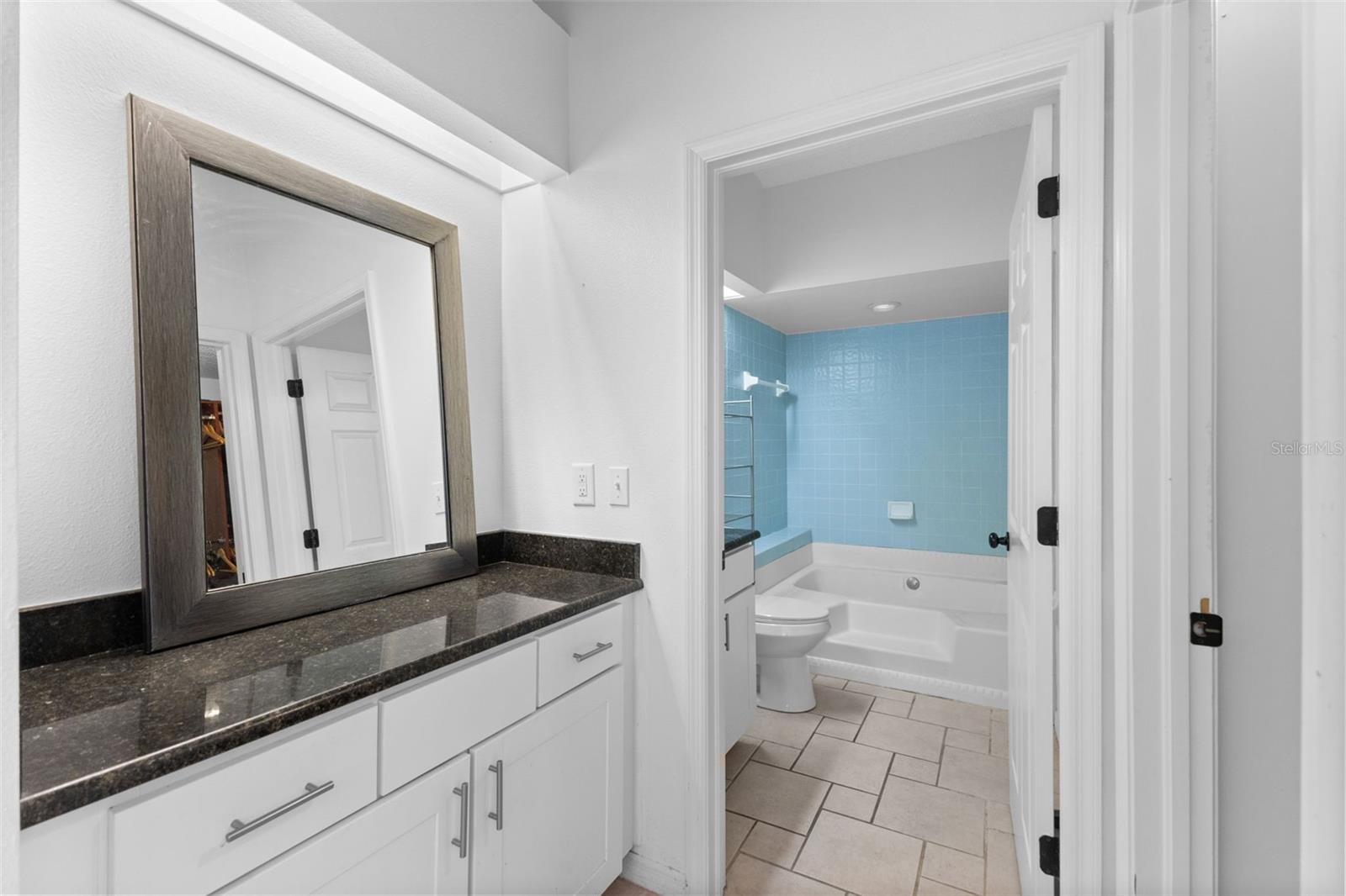 1546 EMBLIDGE CT, LUTZ, FL, 33559