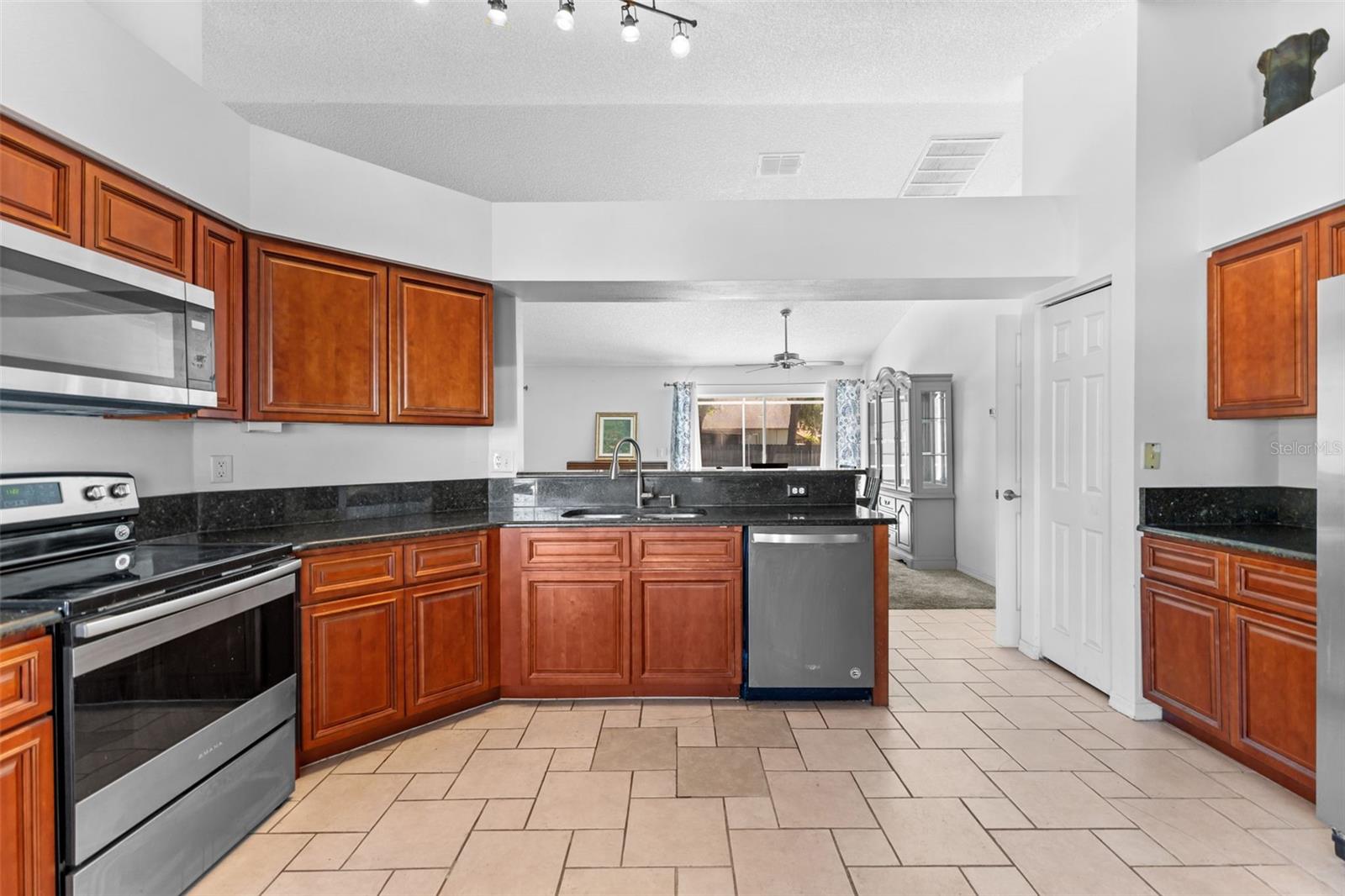 1546 EMBLIDGE CT, LUTZ, FL, 33559