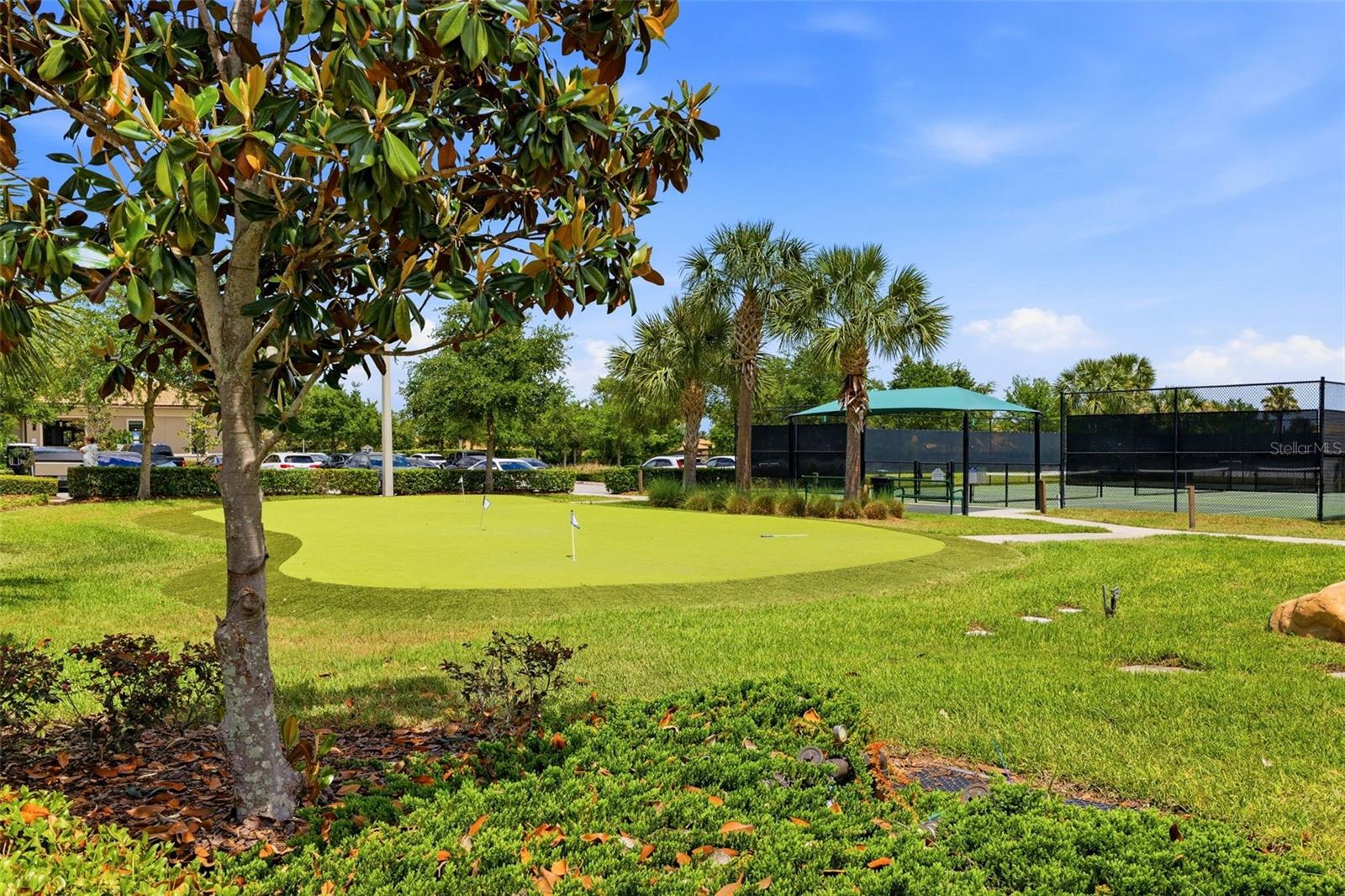 1099 TRAPPERS TRAIL LOOP, DAVENPORT, FL, 33896