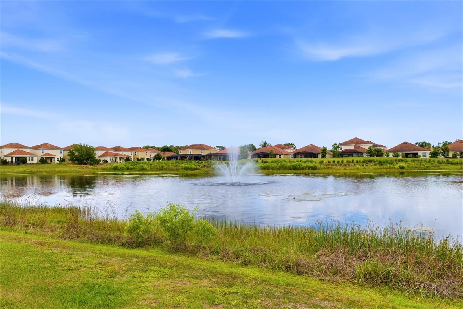 1099 TRAPPERS TRAIL LOOP, DAVENPORT, FL, 33896