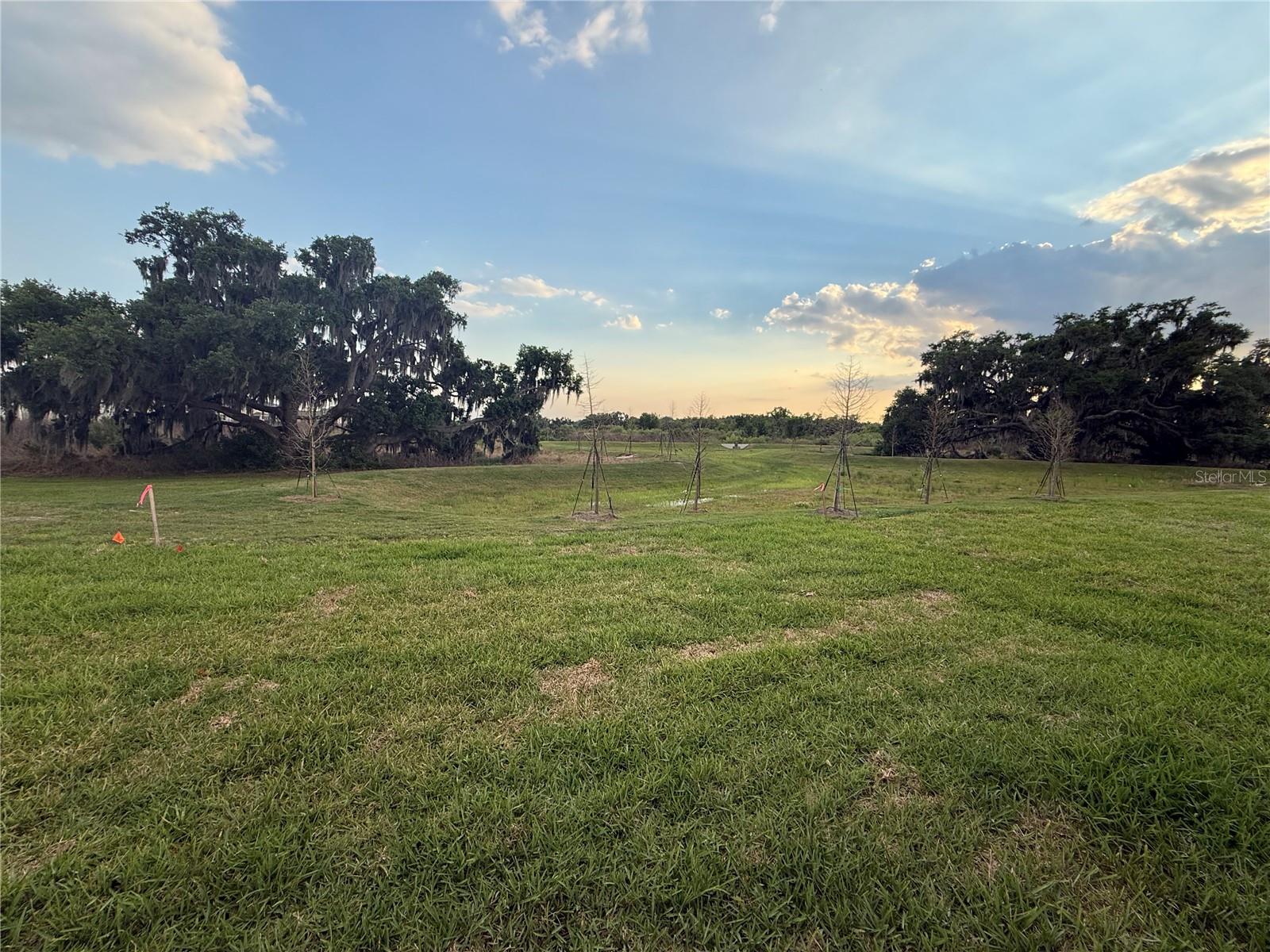 4005 WESTWOOD FIELDS LOOP #4005, PLANT CITY, FL, 33565