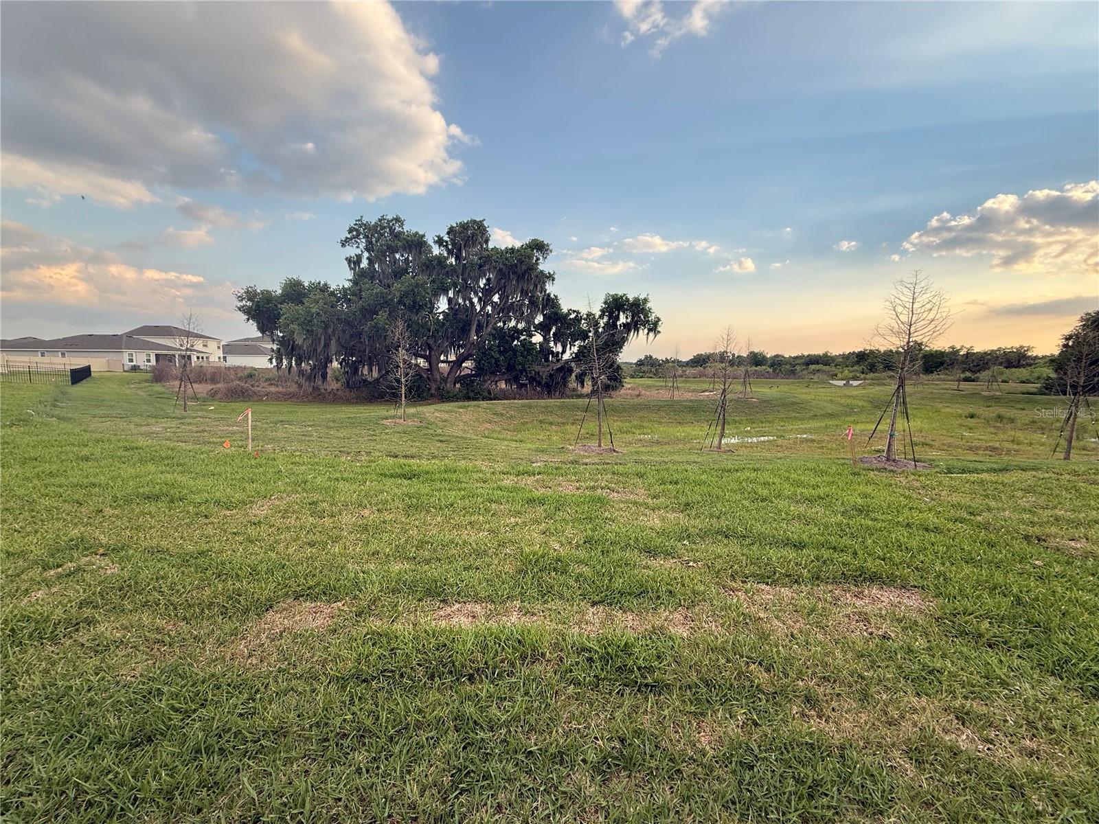 4005 WESTWOOD FIELDS LOOP #4005, PLANT CITY, FL, 33565