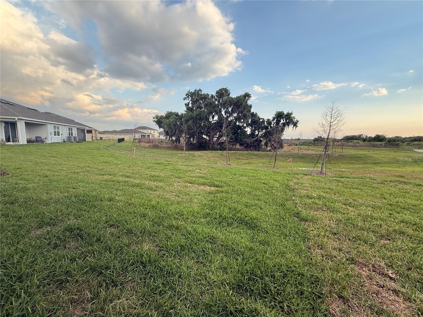 4005 WESTWOOD FIELDS LOOP #4005, PLANT CITY, FL, 33565