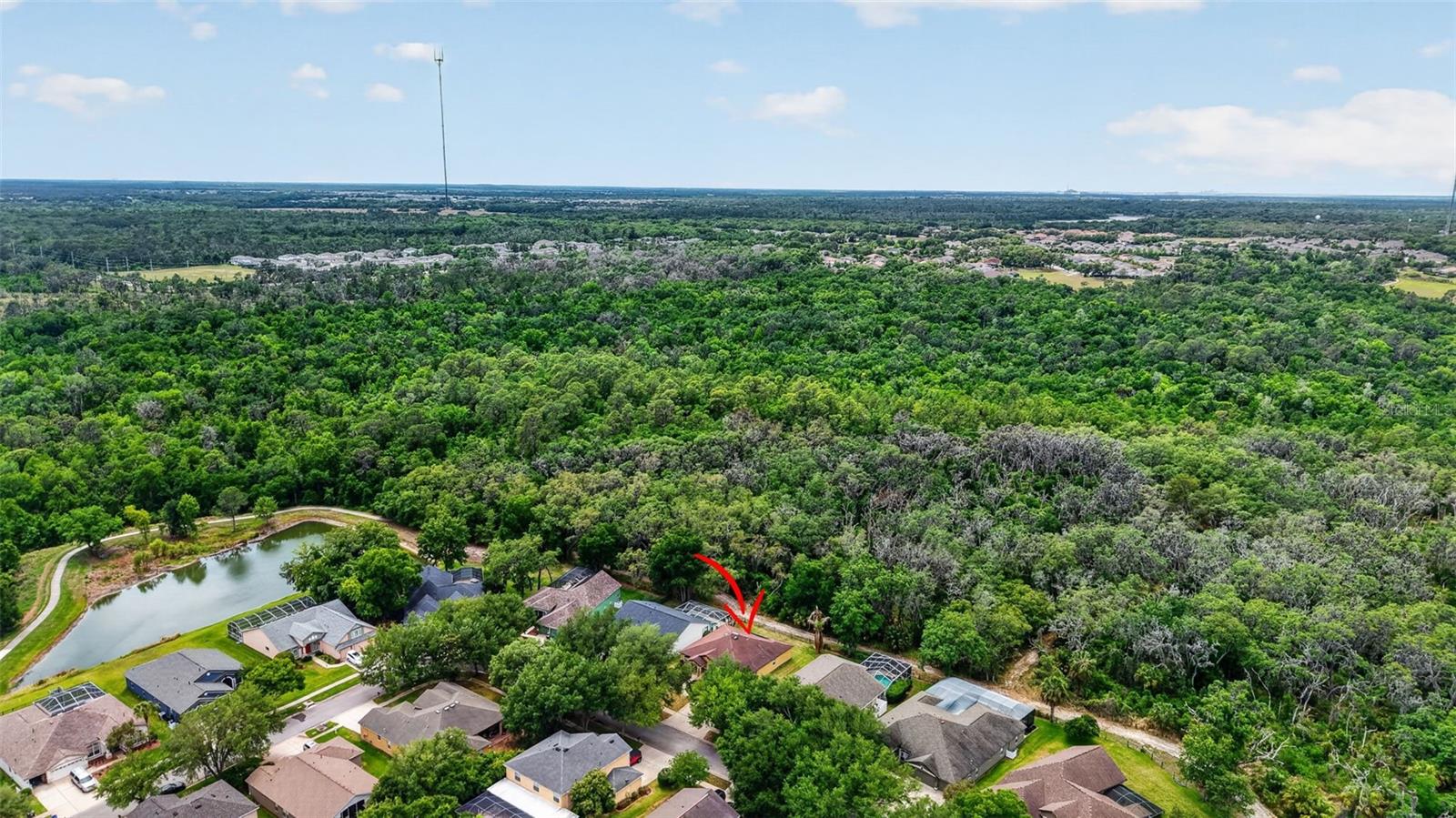 14818 HERONGLEN DR, LITHIA, FL, 33547