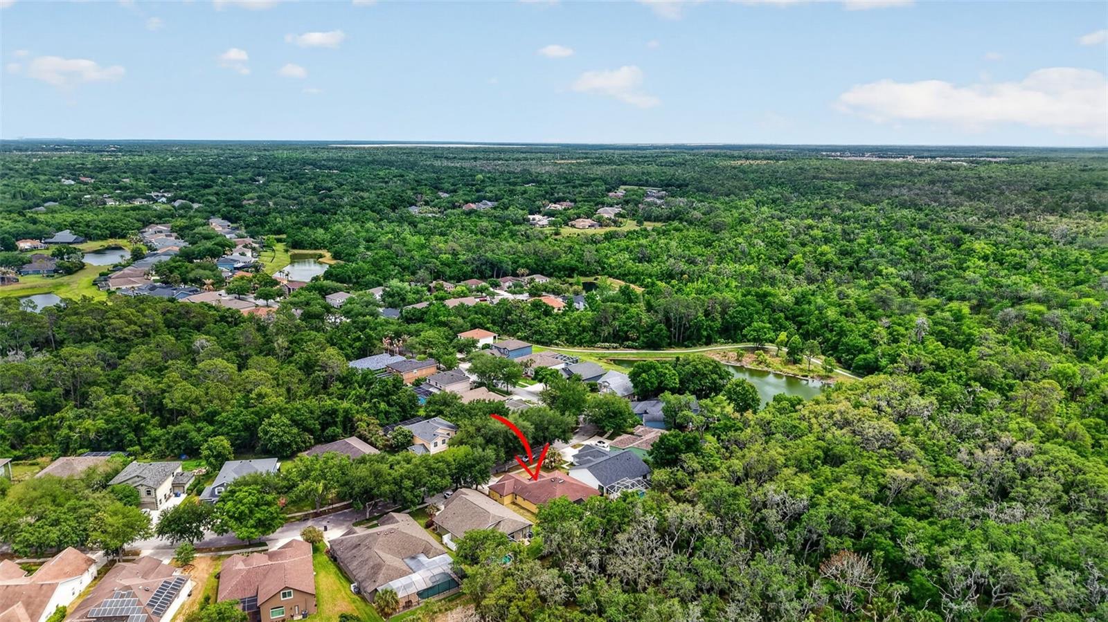 14818 HERONGLEN DR, LITHIA, FL, 33547