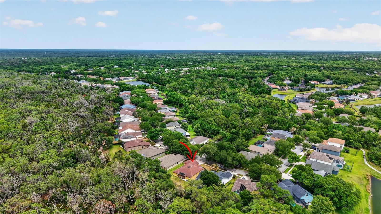 14818 HERONGLEN DR, LITHIA, FL, 33547