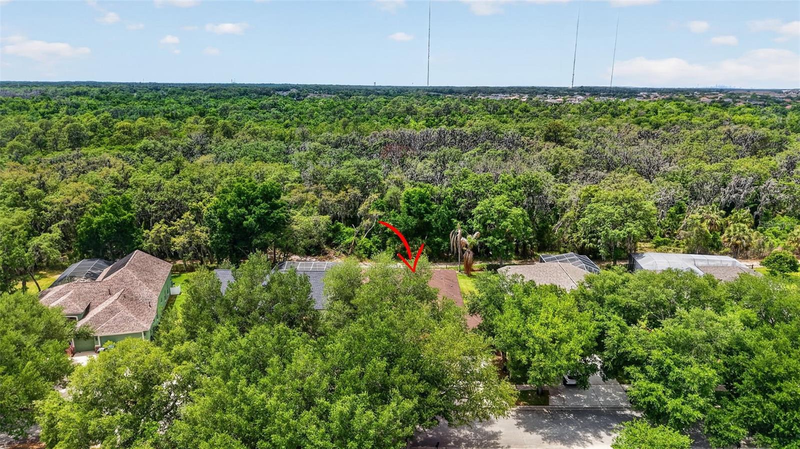 14818 HERONGLEN DR, LITHIA, FL, 33547