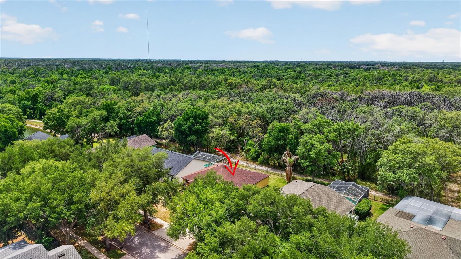 14818 HERONGLEN DR, LITHIA, FL, 33547