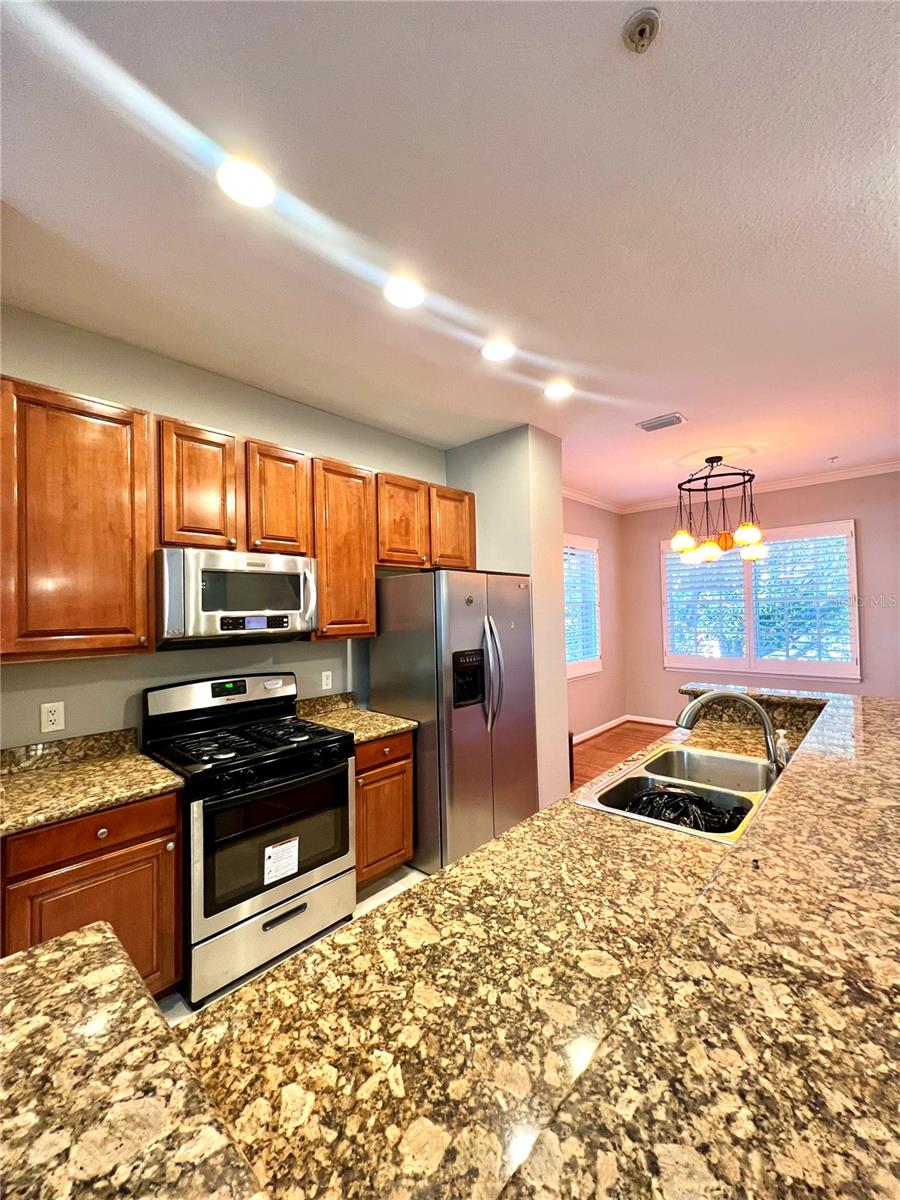 809 HARBOR OAK LN, CLEARWATER, FL, 33756