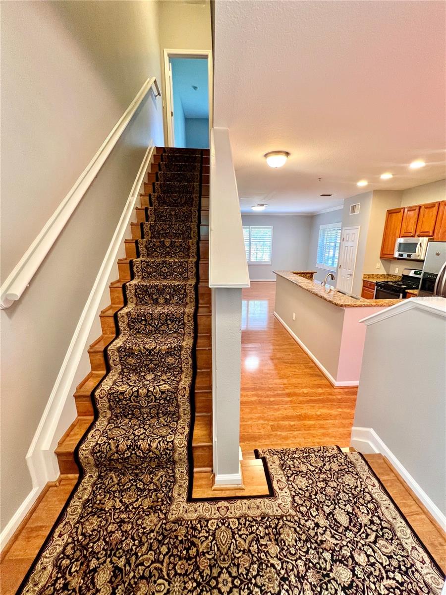 809 HARBOR OAK LN, CLEARWATER, FL, 33756