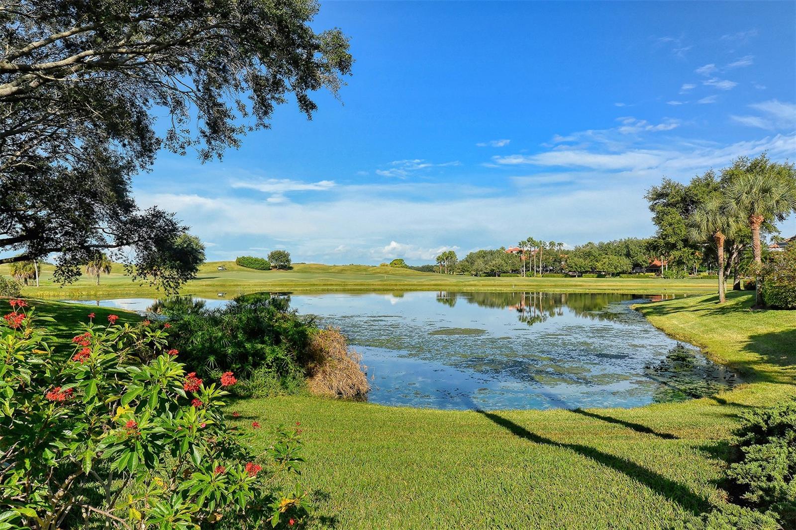 4436 CALLE SERENA, SARASOTA, FL, 34238