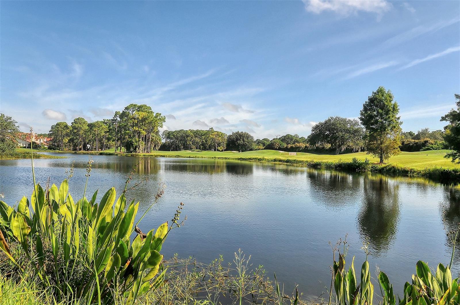 4436 CALLE SERENA, SARASOTA, FL, 34238