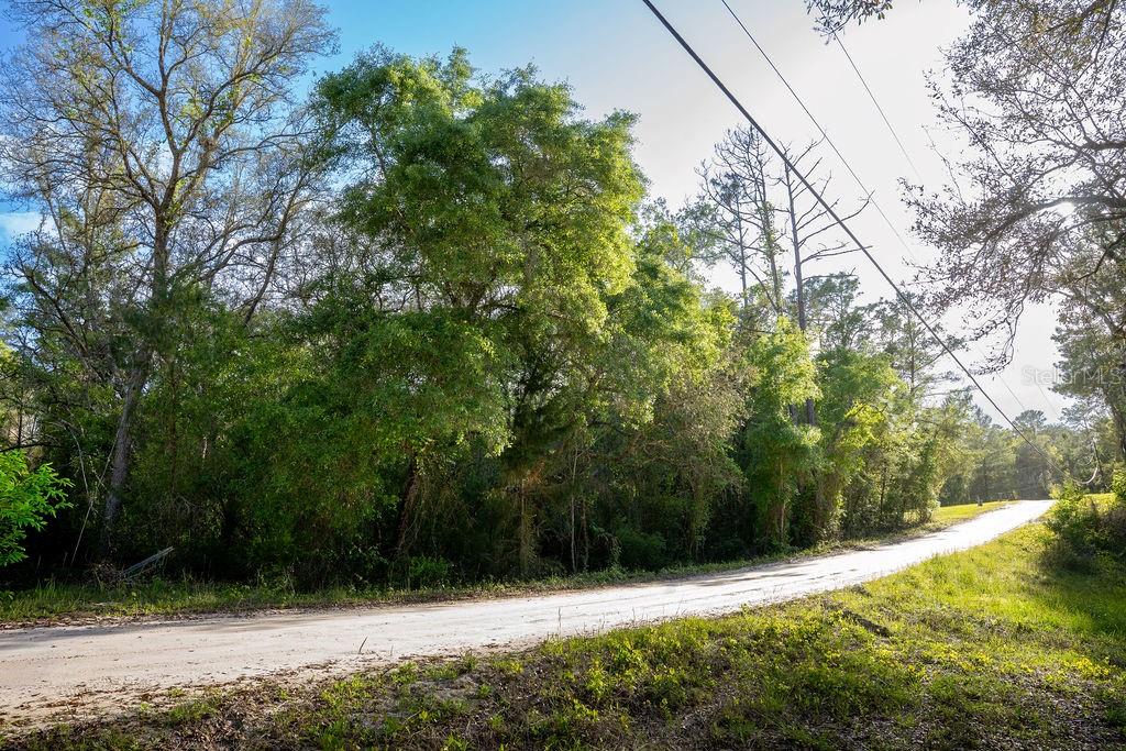 LAKE MAREGARET BLVD, POMONA PARK, FL, 32181