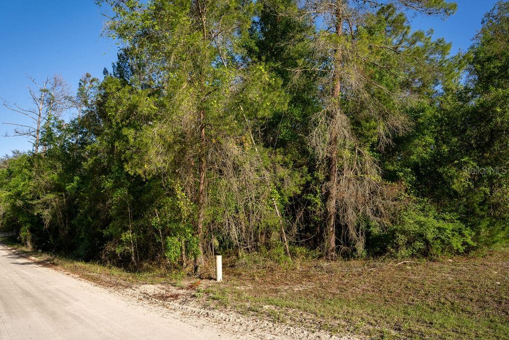 LAKE MAREGARET BLVD, POMONA PARK, FL, 32181