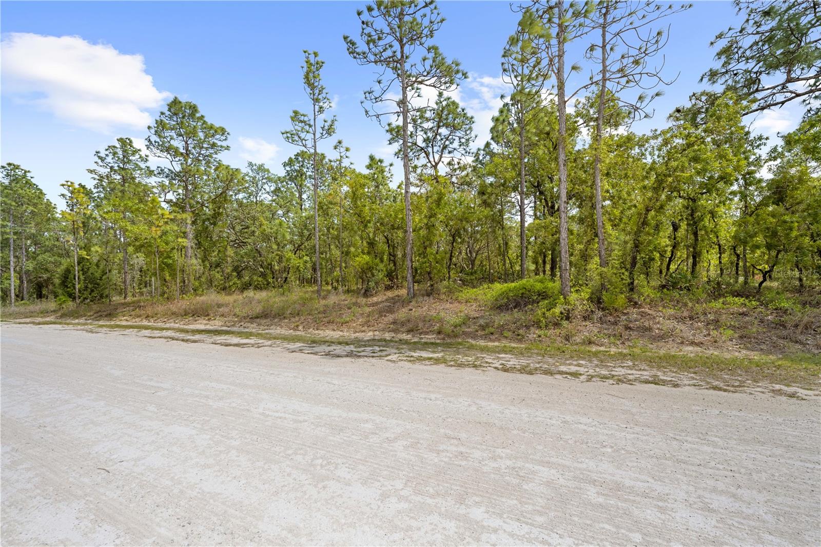 0 SANDPIPER AVE, WEEKI WACHEE, FL, 34614