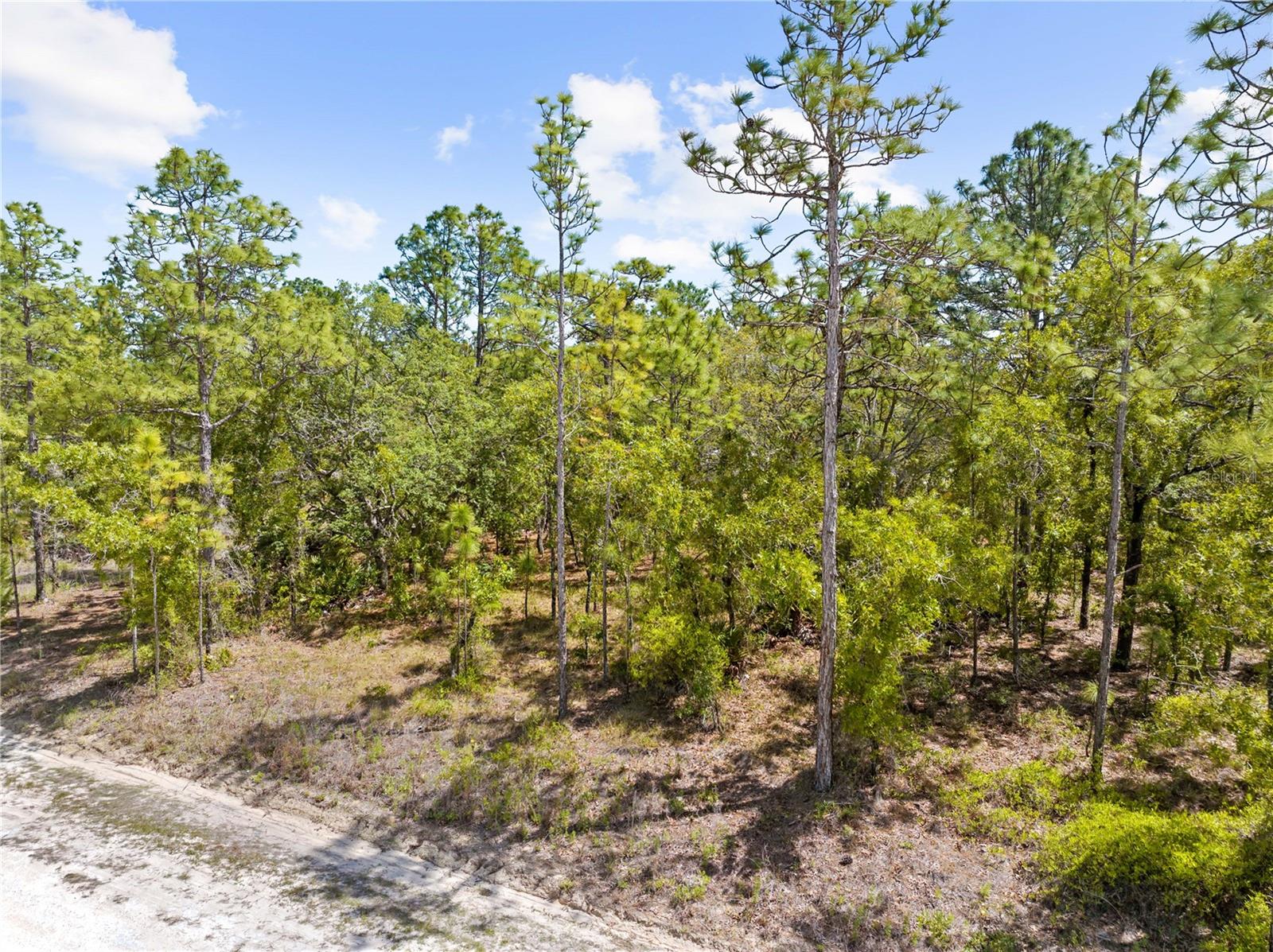 0 SANDPIPER AVE, WEEKI WACHEE, FL, 34614