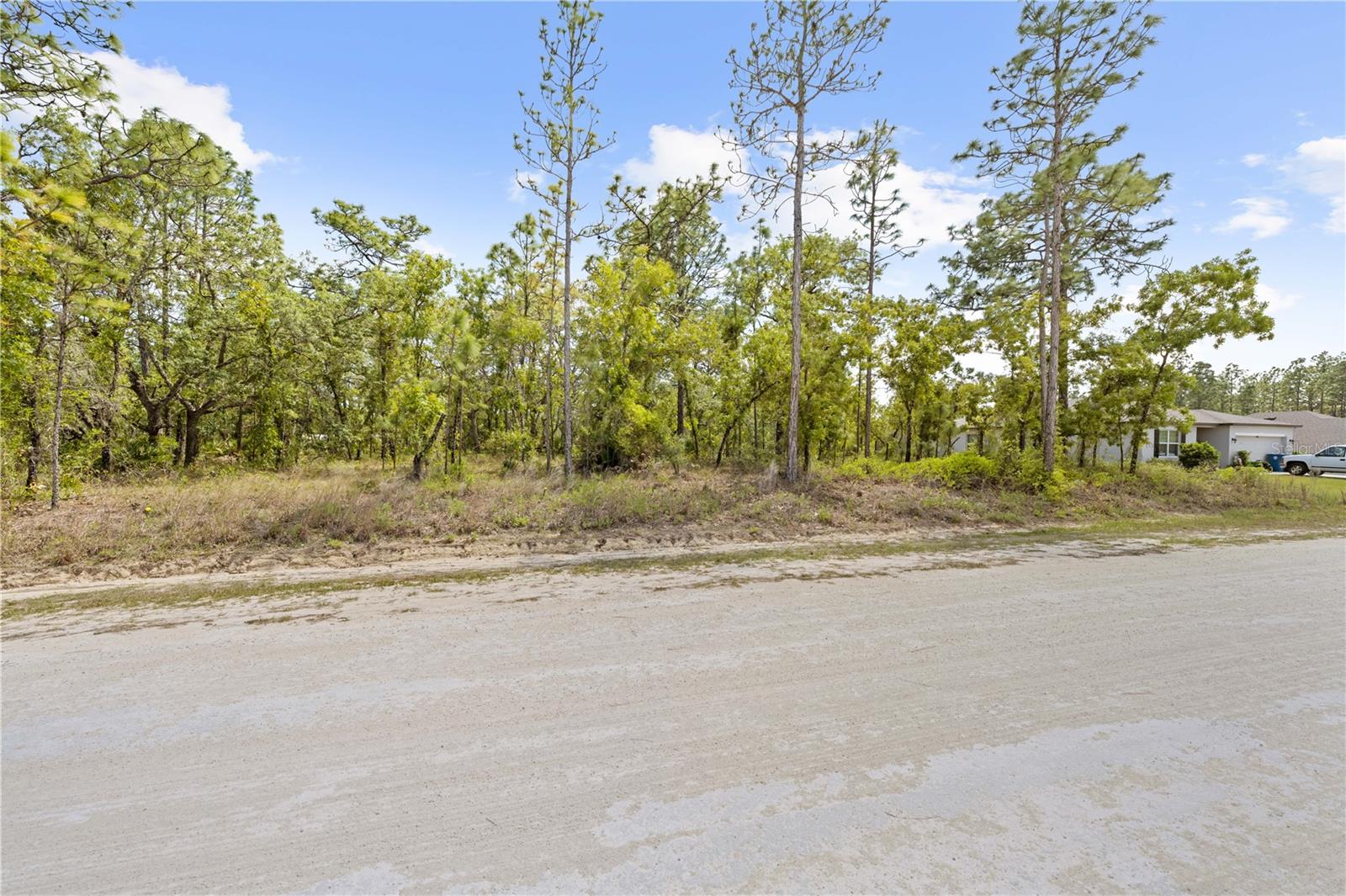 0 SANDPIPER AVE, WEEKI WACHEE, FL, 34614