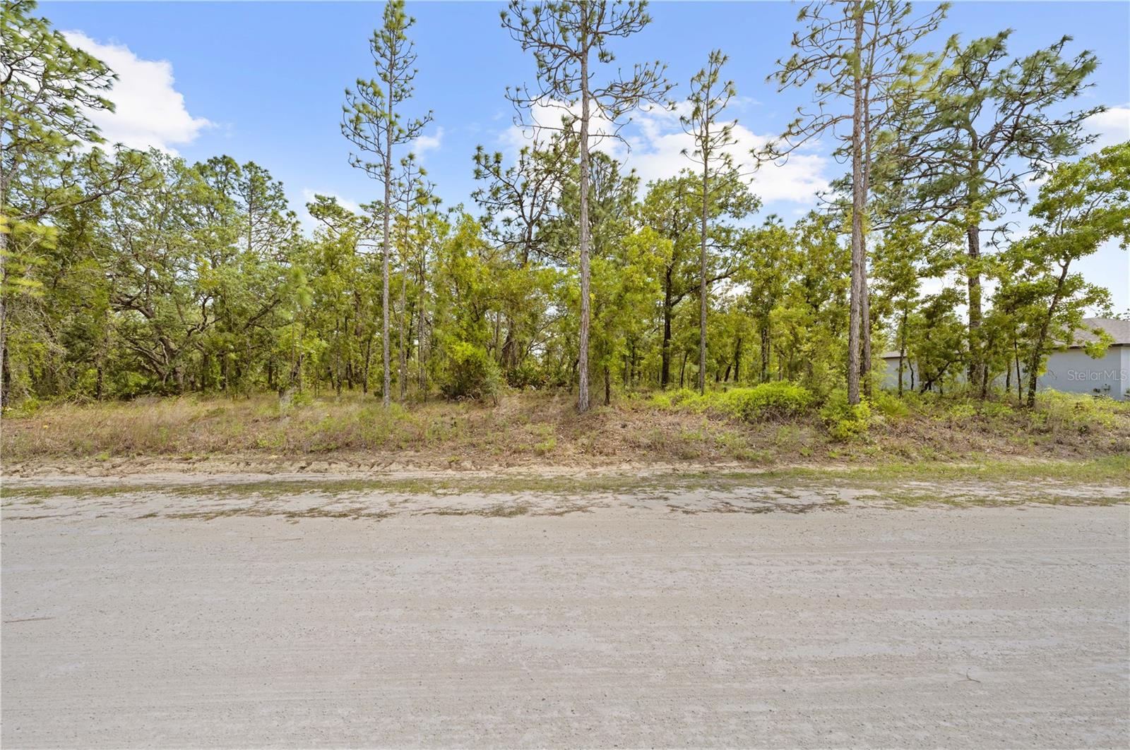 0 SANDPIPER AVE, WEEKI WACHEE, FL, 34614