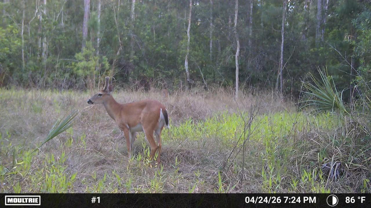 16840 JOZACH DR, NAPLES, FL, 34120