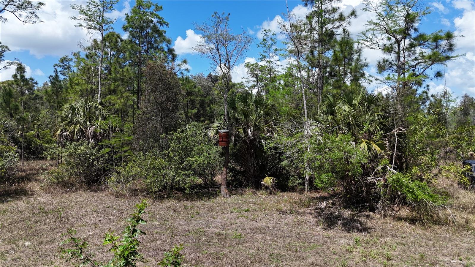 16840 JOZACH DR, NAPLES, FL, 34120