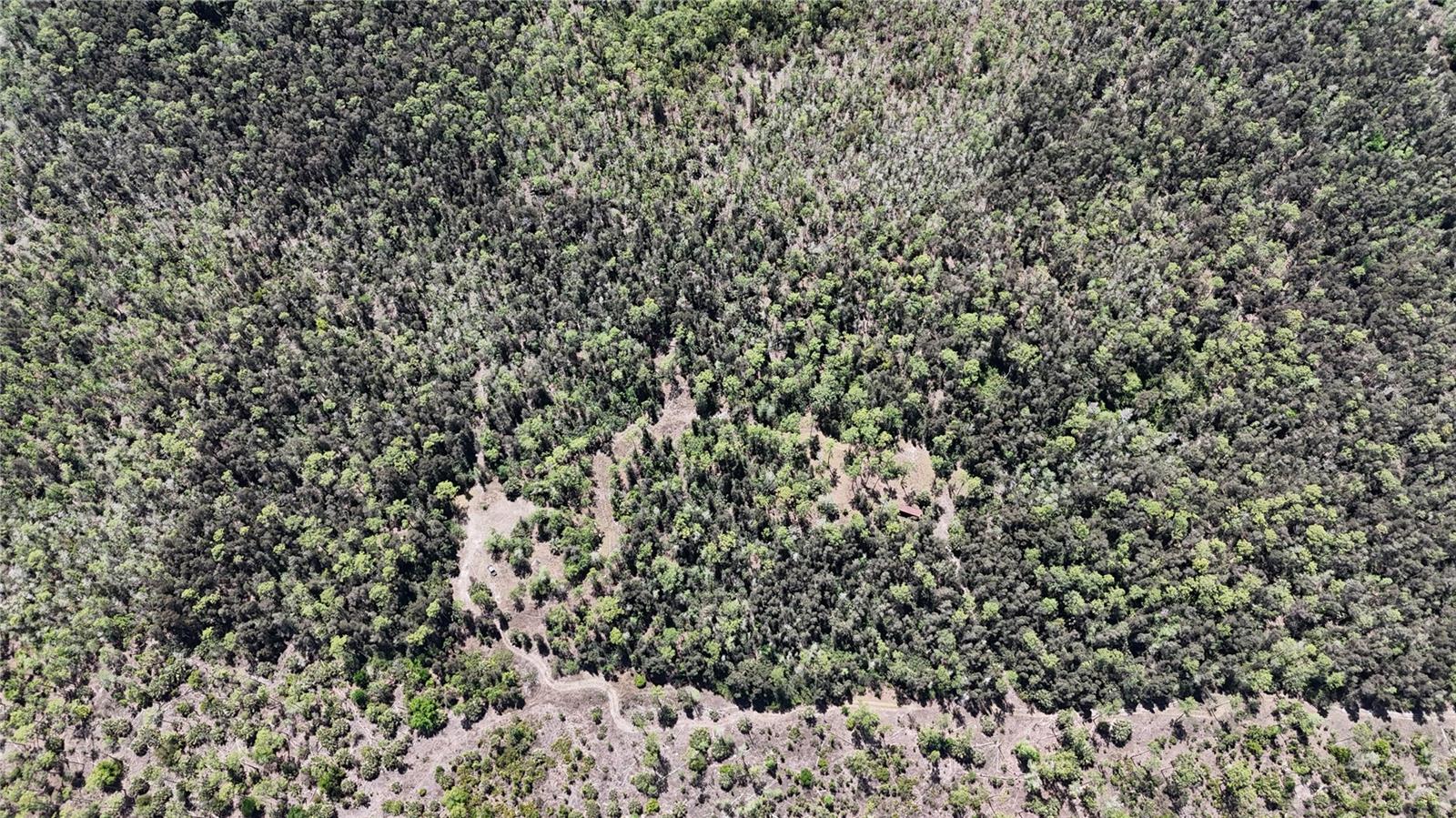 16840 JOZACH DR, NAPLES, FL, 34120