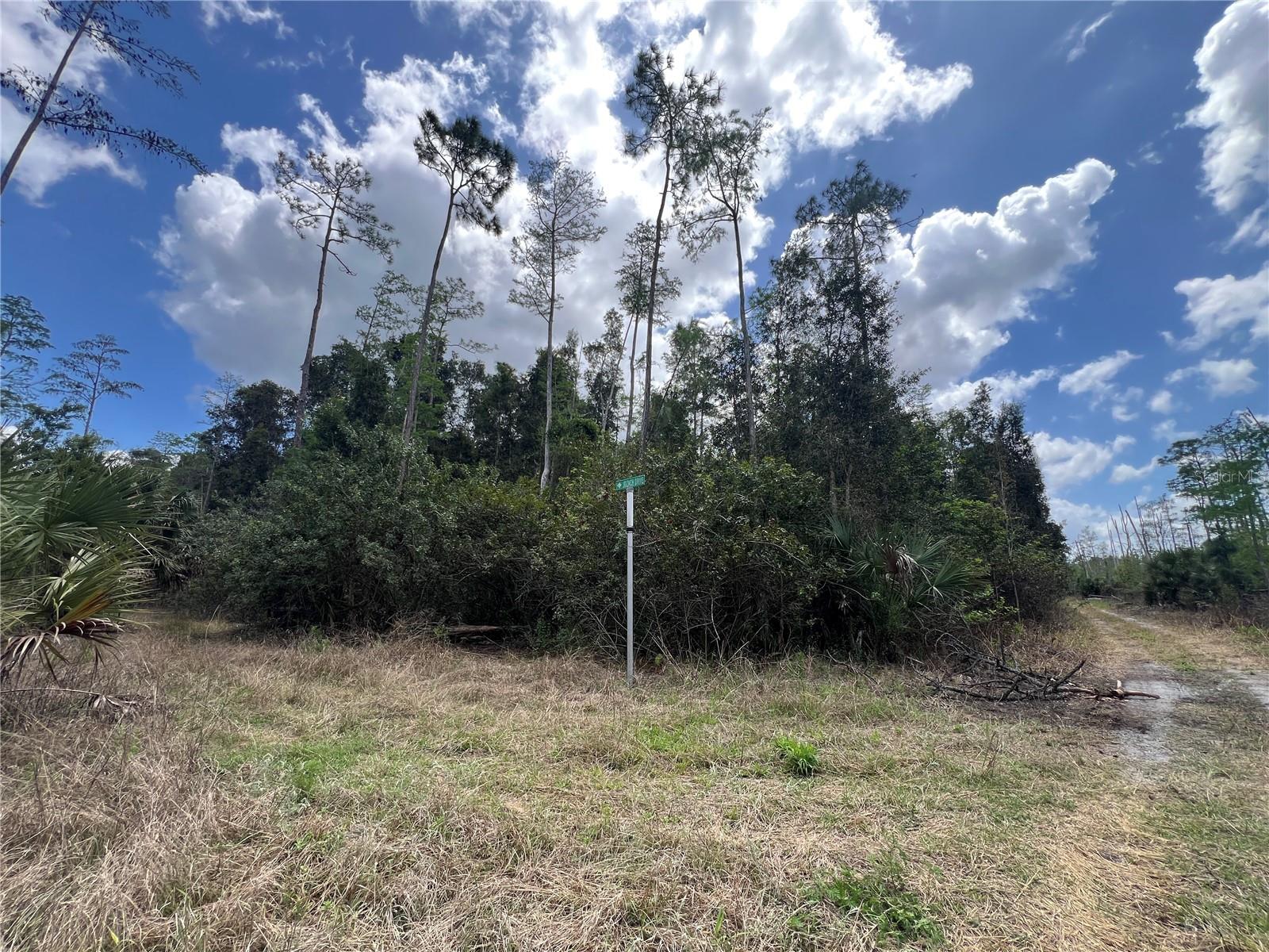 16840 JOZACH DR, NAPLES, FL, 34120