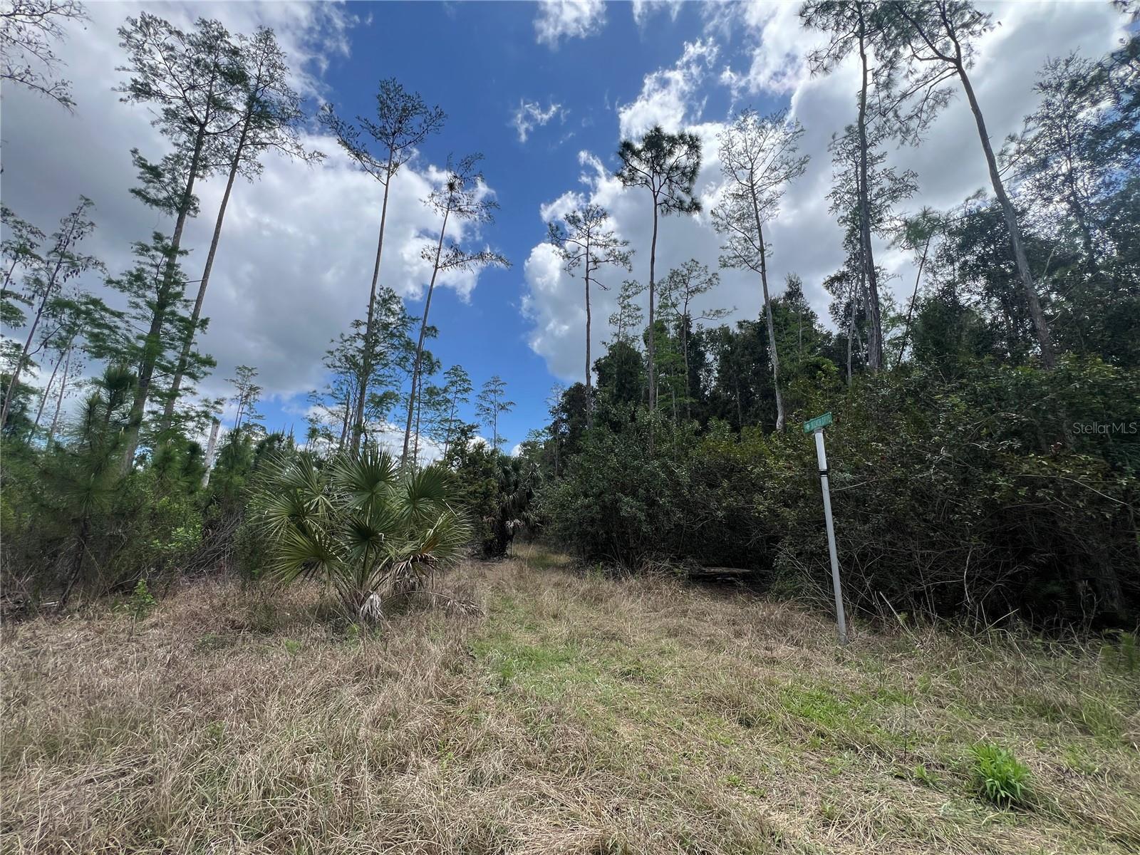 16840 JOZACH DR, NAPLES, FL, 34120