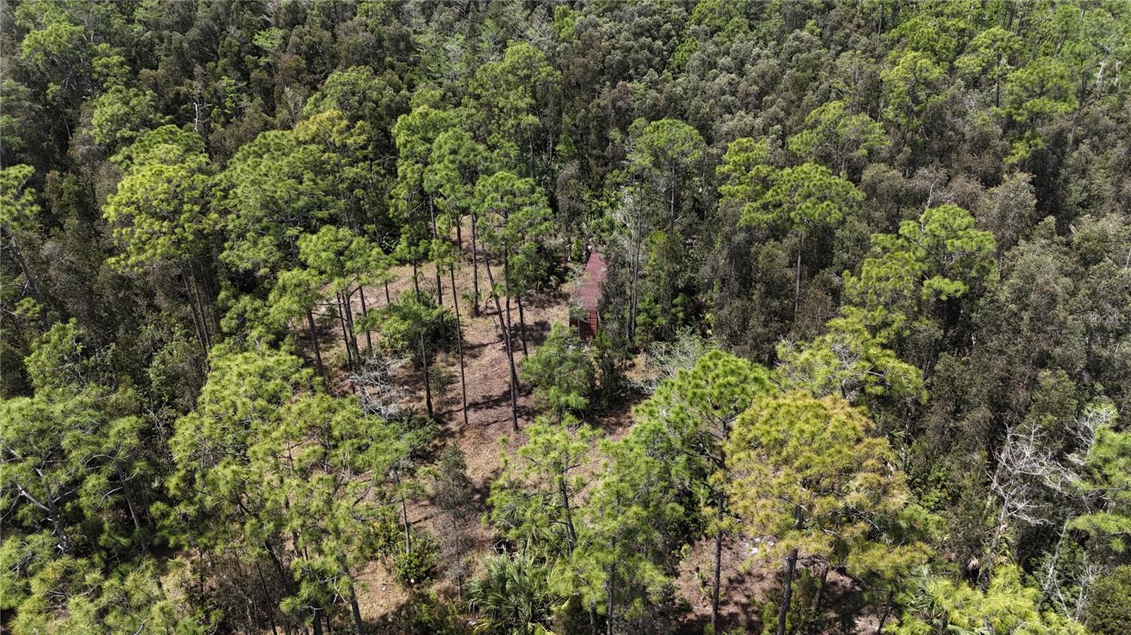 16840 JOZACH DR, NAPLES, FL, 34120