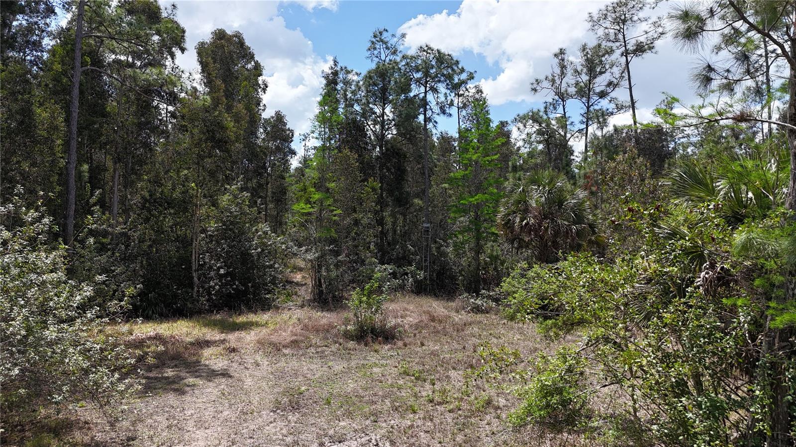 16840 JOZACH DR, NAPLES, FL, 34120