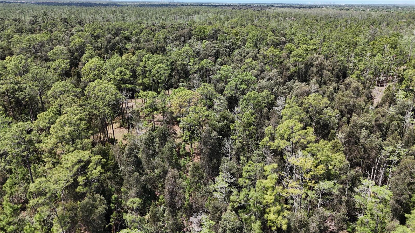 16840 JOZACH DR, NAPLES, FL, 34120