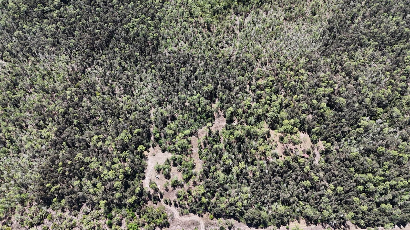 16840 JOZACH DR, NAPLES, FL, 34120