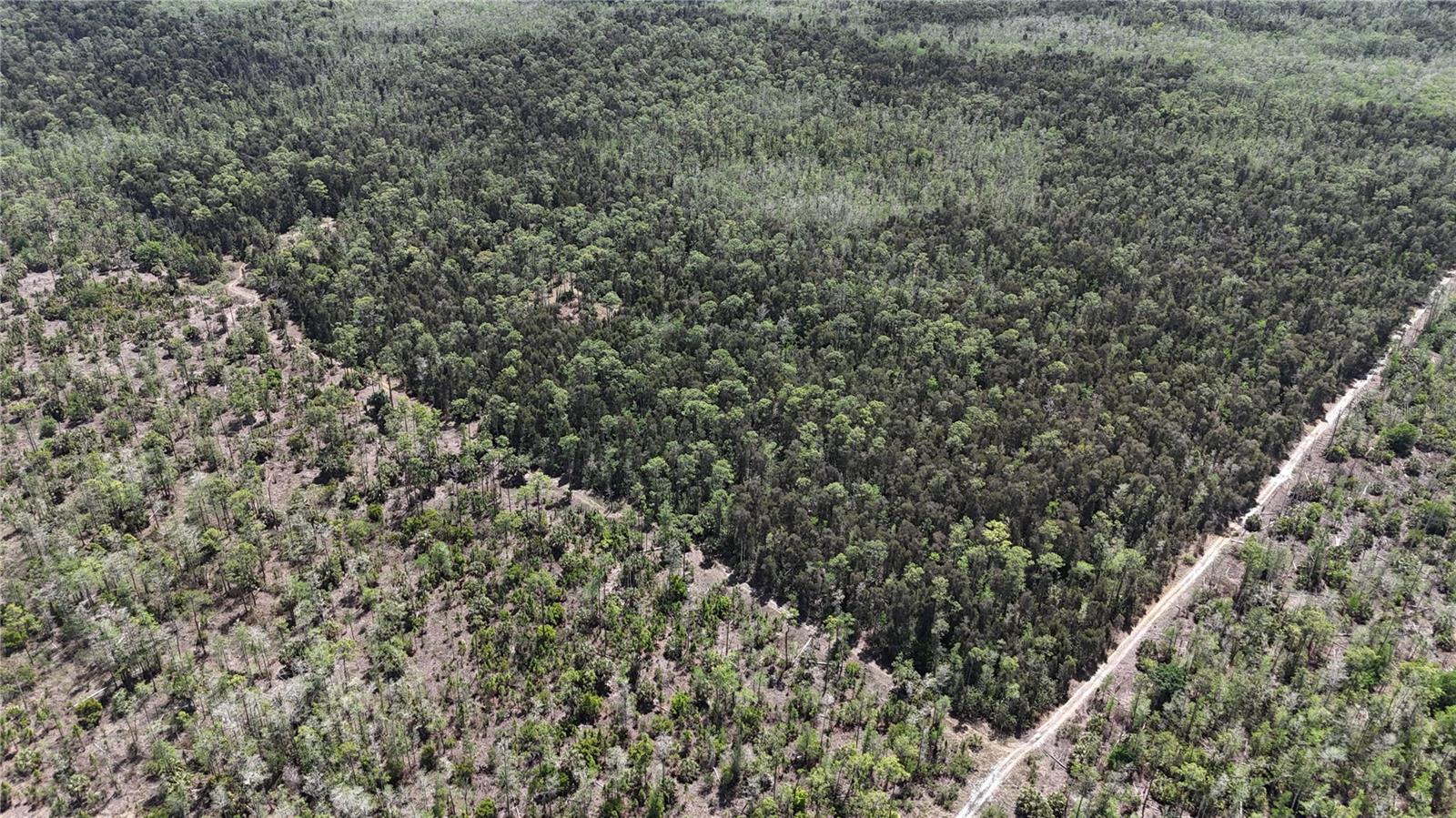 16840 JOZACH DR, NAPLES, FL, 34120