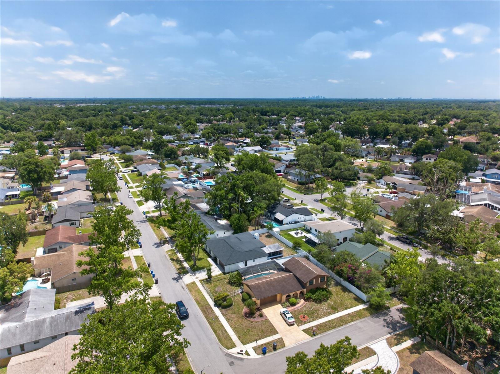 4430 RANCHWOOD LN, TAMPA, FL, 33624