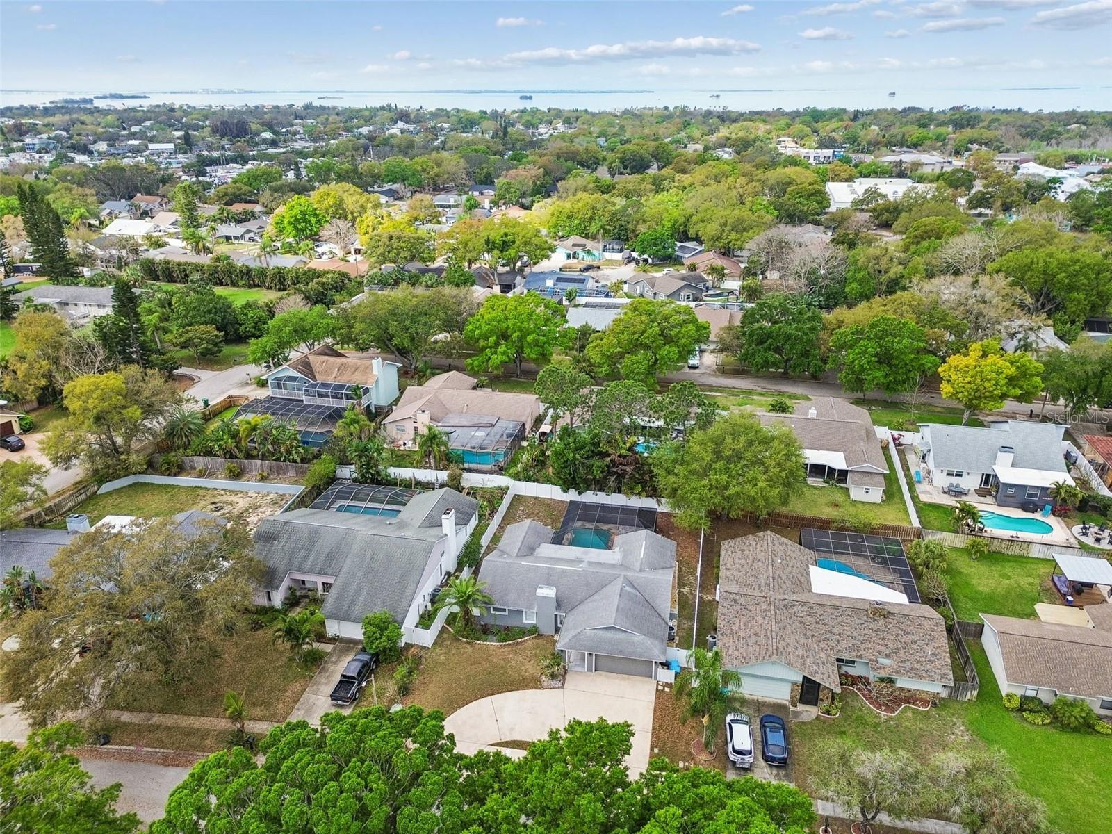 2554 ROLLING OAKS DR, PALM HARBOR, FL, 34683