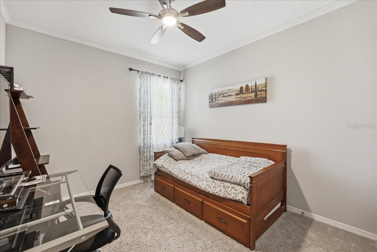 1614 SNAPPER ST, ST CLOUD, FL, 34771