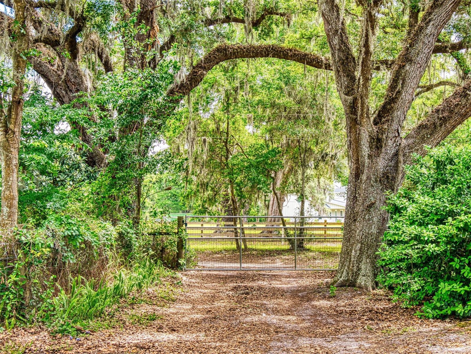 2713 CR 776, WEBSTER, FL, 33597