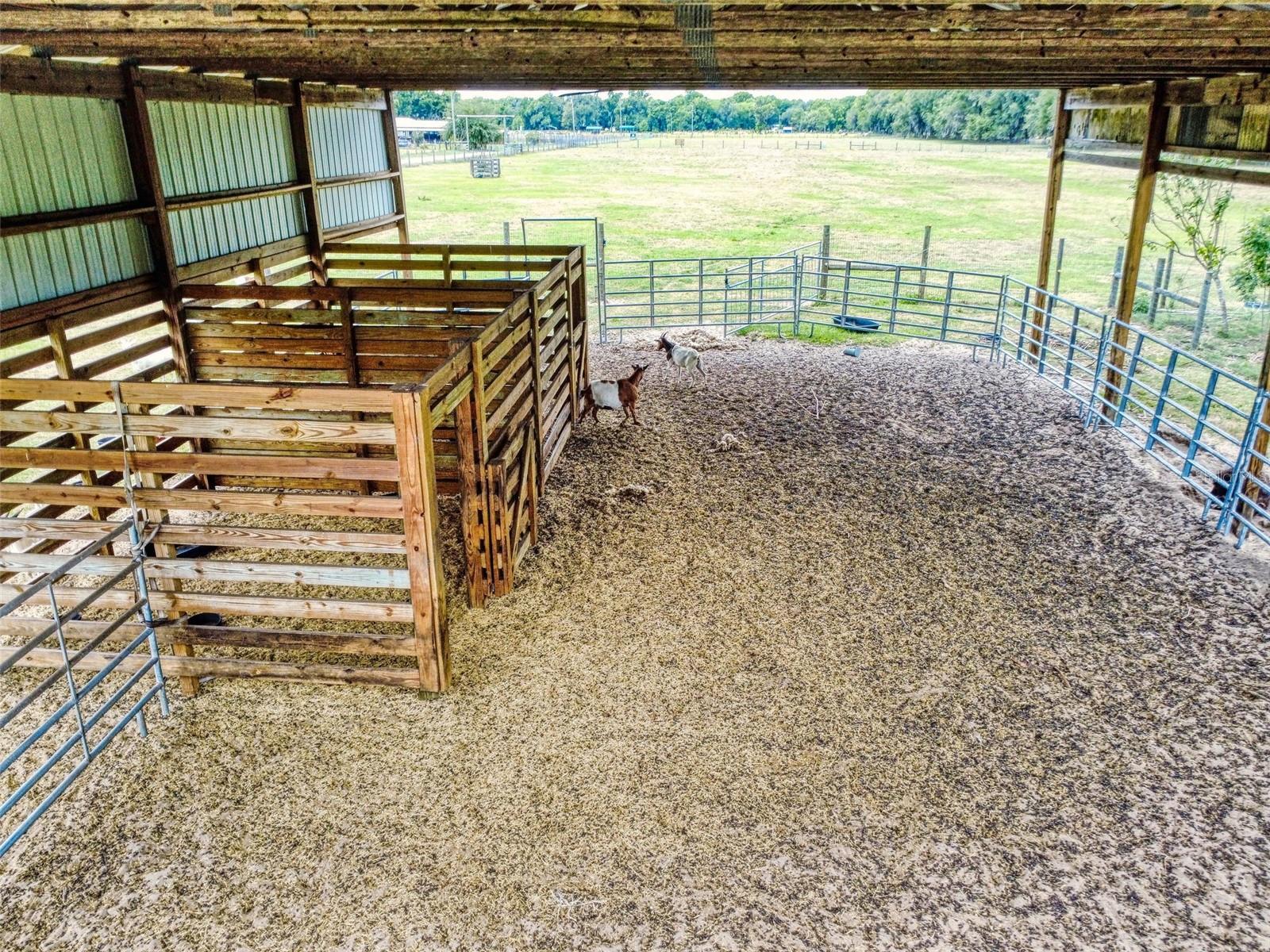 2713 CR 776, WEBSTER, FL, 33597