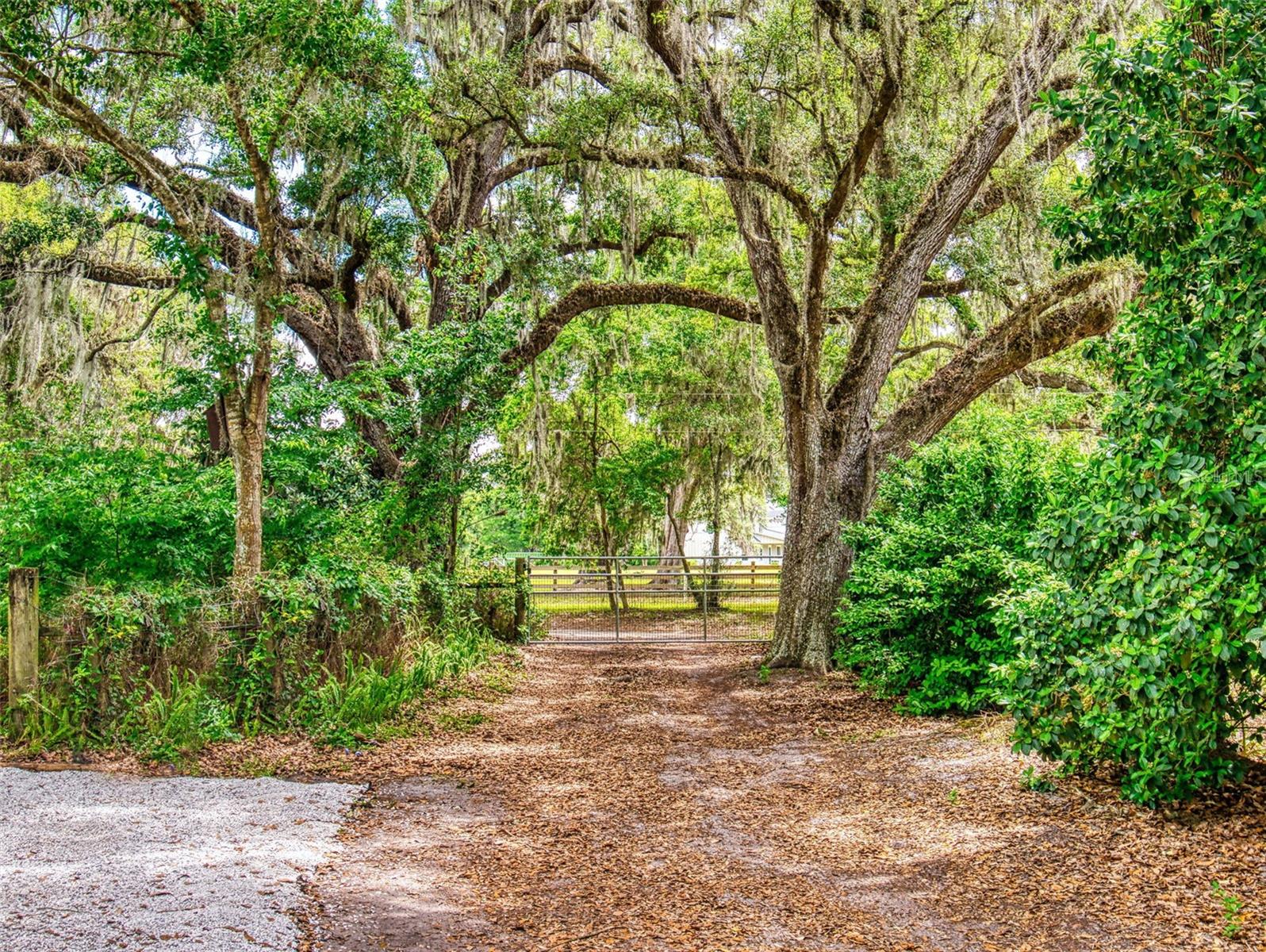 2713 CR 776, WEBSTER, FL, 33597