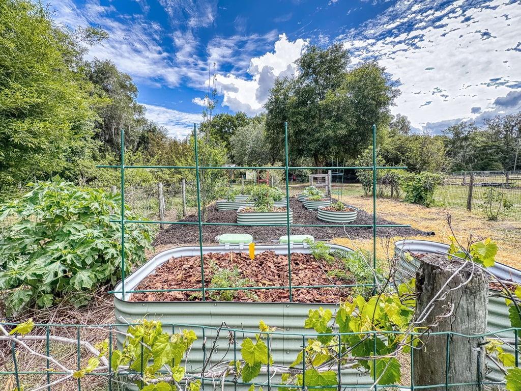 2713 CR 776, WEBSTER, FL, 33597