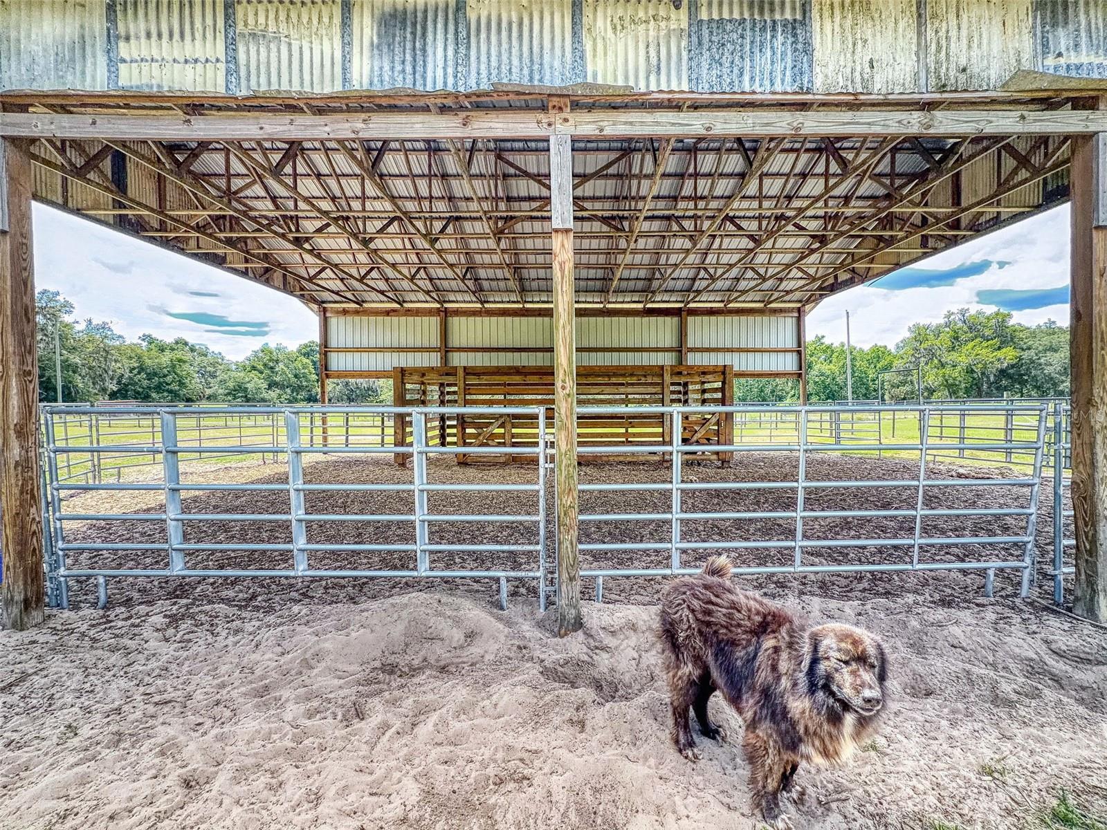 2713 CR 776, WEBSTER, FL, 33597