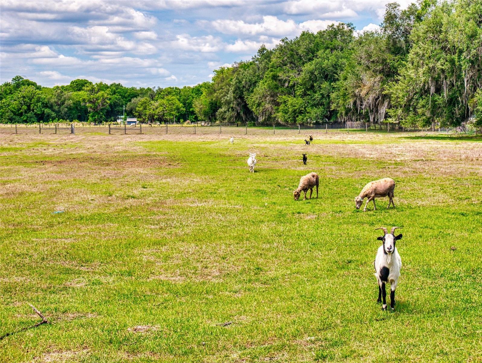 2713 CR 776, WEBSTER, FL, 33597