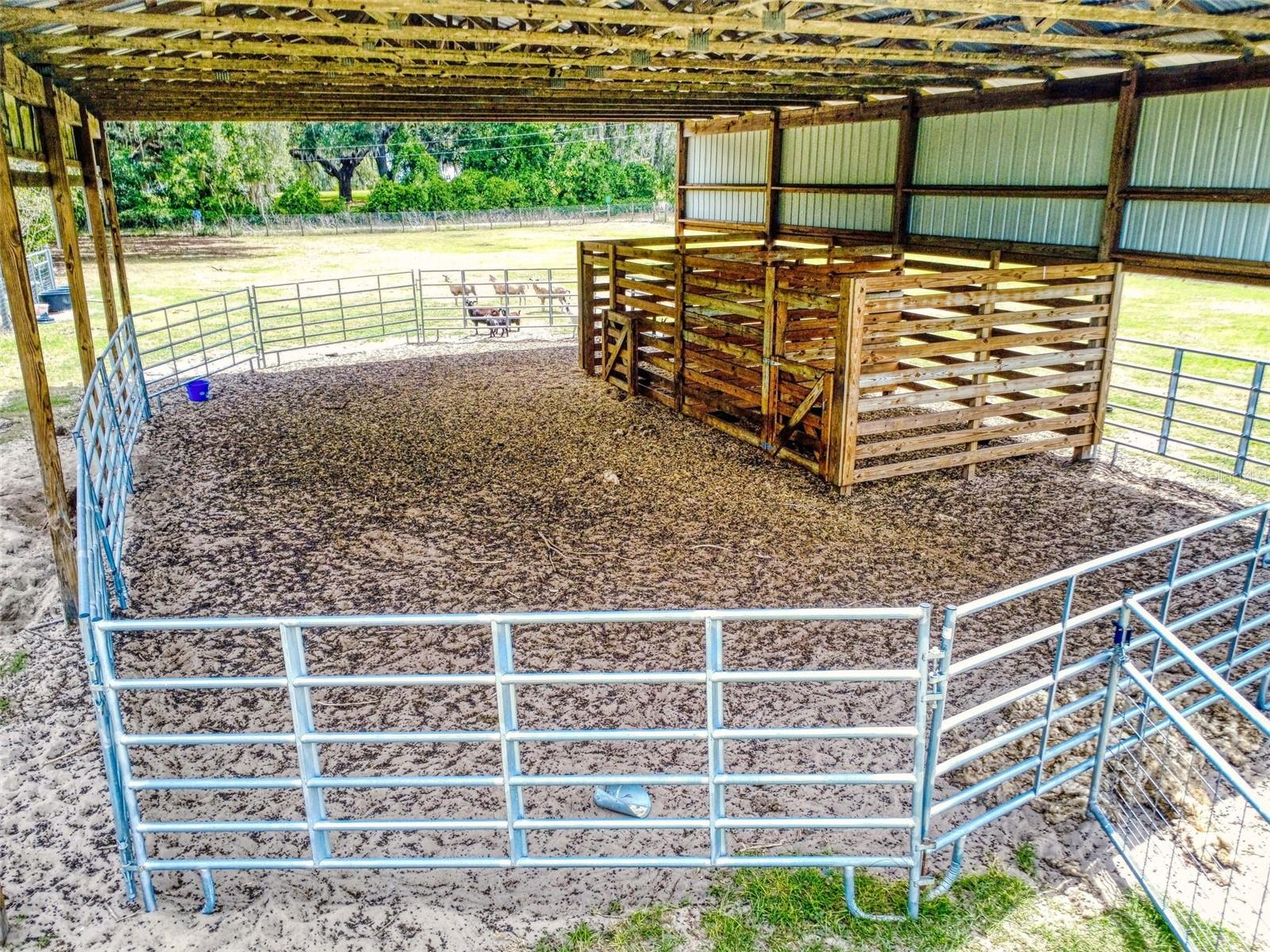 2713 CR 776, WEBSTER, FL, 33597