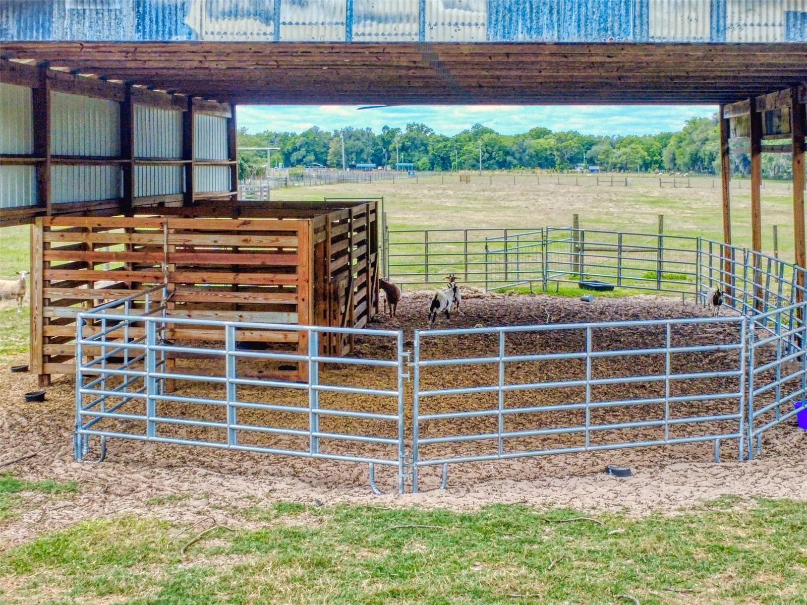 2713 CR 776, WEBSTER, FL, 33597