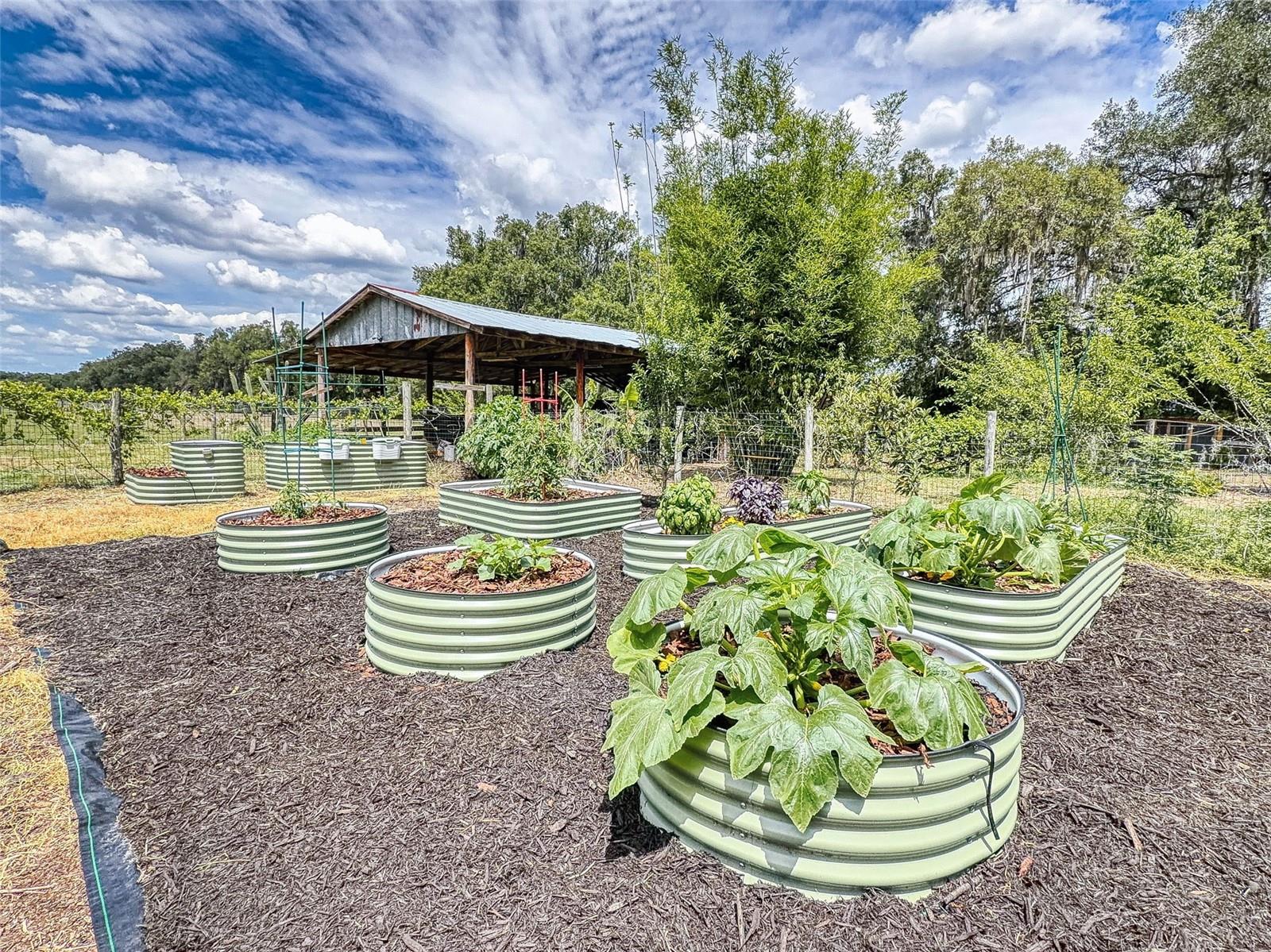 2713 CR 776, WEBSTER, FL, 33597