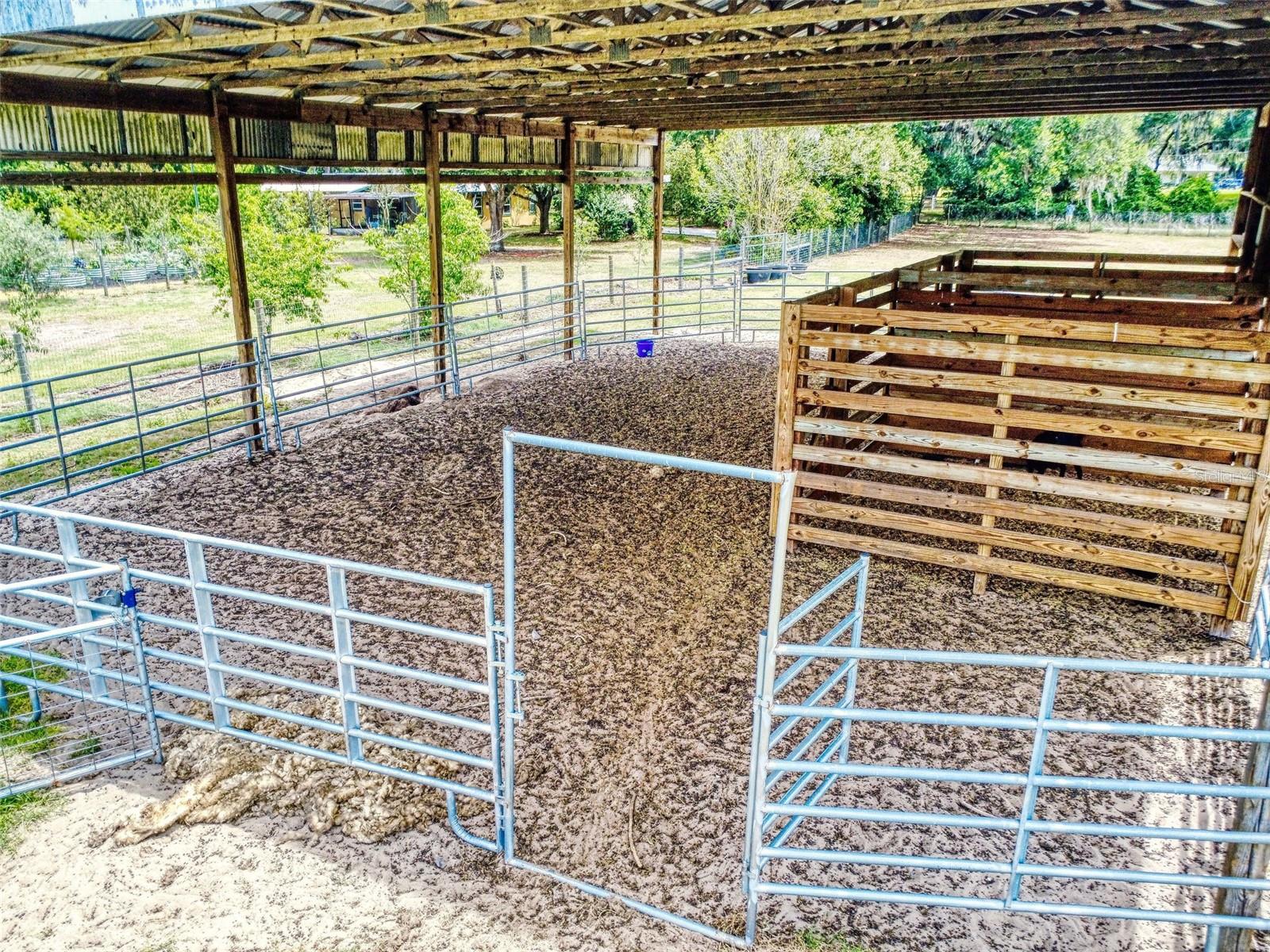 2713 CR 776, WEBSTER, FL, 33597