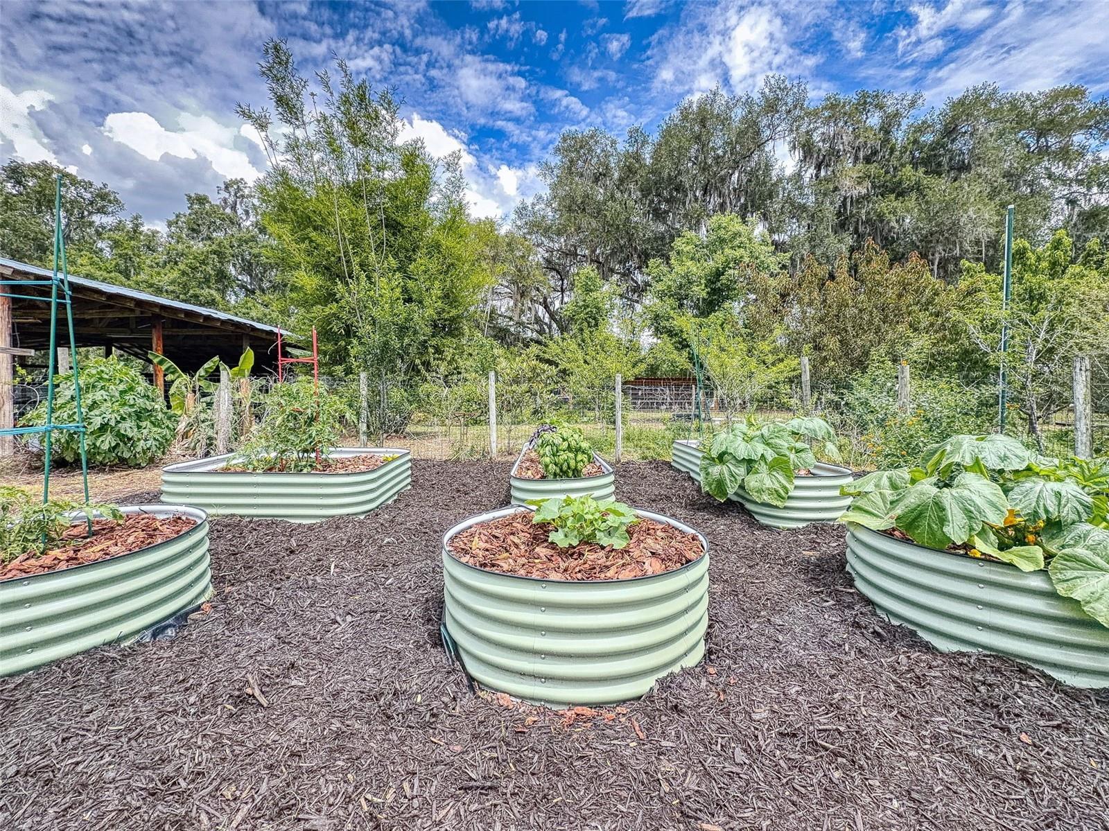 2713 CR 776, WEBSTER, FL, 33597