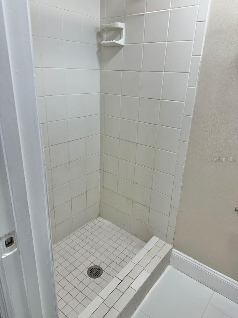 2489 DEL RIO WAY, DUNEDIN, FL, 34698