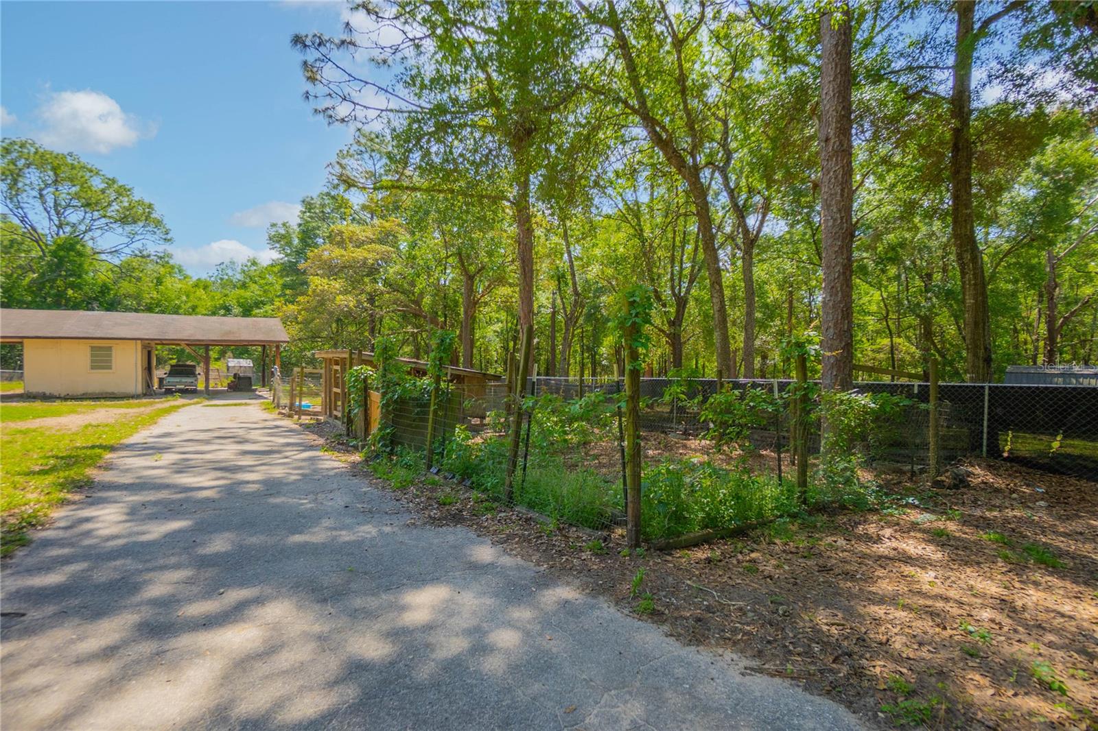 5581 SW 197TH TER, DUNNELLON, FL, 34431