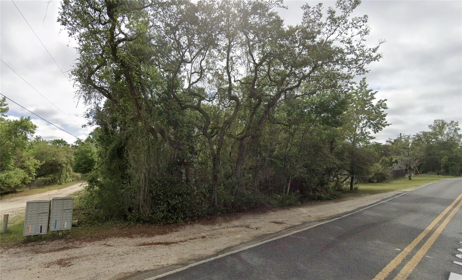 NE 154TH PL, FORT MC COY, FL, 32134