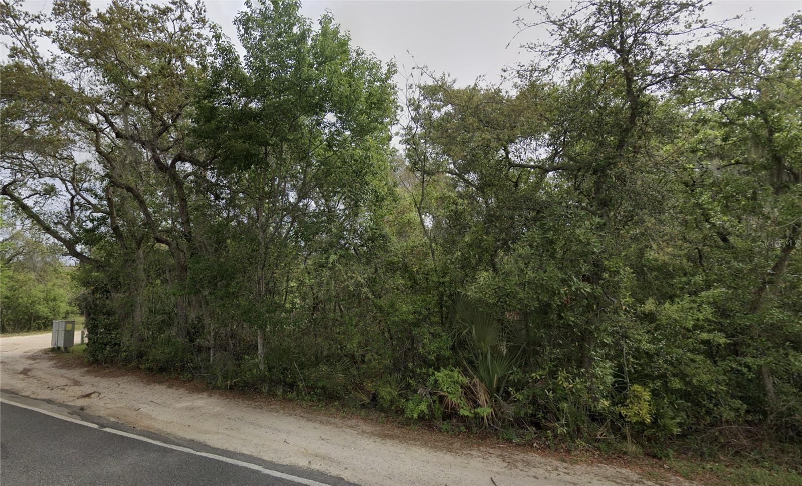 NE 154TH PL, FORT MC COY, FL, 32134